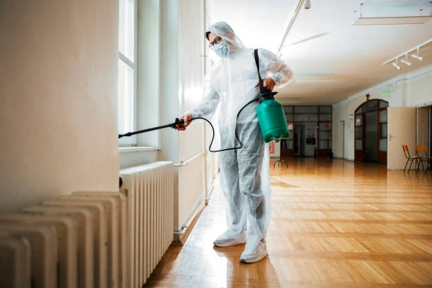 Best Mosquito Control Services  in Orient, NY